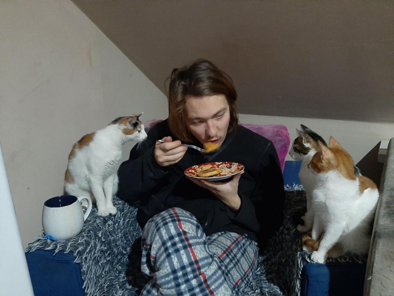 Everyday Cat Hostel 바투미 외부 사진